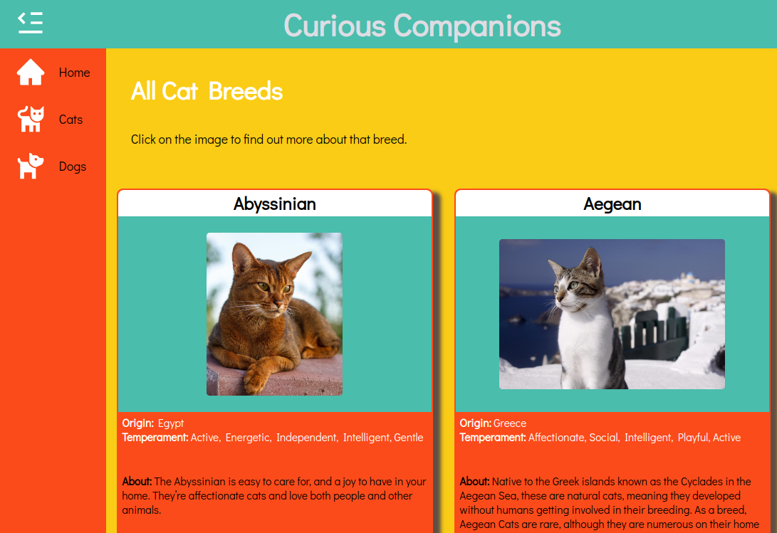 screenshot of a page of a website with information about two breeds of cats, including a header of 'curious companions', a nav bar and a colour scheme of bright yellow, blue and orange.